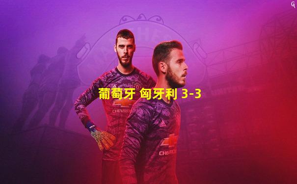 葡萄牙 匈牙利 3-3
